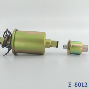 Bomba de Gasolina Eléctrica Universal