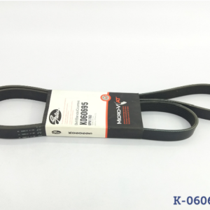 Correa Micro «V» Acanalada Century-Celebrity