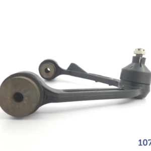 Muñones RTS – Meseta Ford