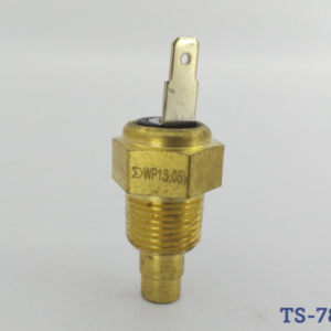 Válvula de Temperatura Chevrolet Caprice / Century