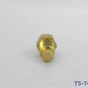 Válvula de temperatura Chevrolet