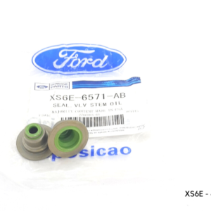 Gomas Válvulas para Ford Fiesta Power Ecosport